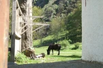gavarnie (54)