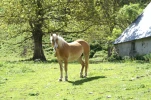 gavarnie (23)