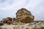 BIA11