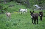 gavarnie (3)