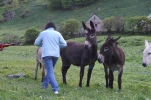 gavarnie (4)