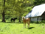 gavarnie (25)