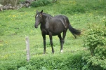 gavarnie (6)