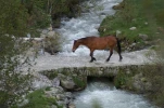 gavarnie (39)