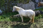gavarnie (32)