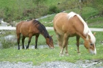 gavarnie (38)