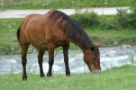 gavarnie (10)