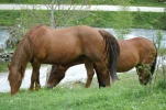 gavarnie (8)