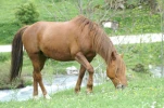 gavarnie (12)