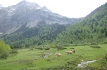 gavarnie (50)