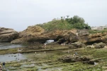 BIA8