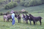 gavarnie (5)