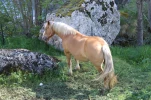 gavarnie (11)