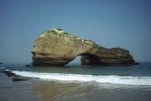 BIA1