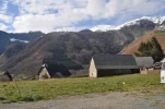 Gazost (5)