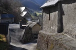 Gazost (6)