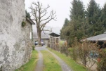 Gazost (20)