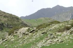 lac des gloriettes (5)
