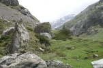 lac des gloriettes (17)