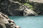 lac des gloriettes (21)