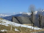 couraduque1 (11)