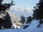 couraduque1 (16)