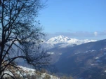couraduque1 (10)