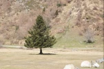 lac d estaing 1 (3)